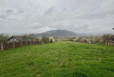 Teren de 2915 mp, în Vețel - 4