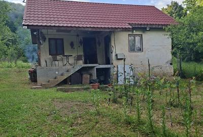 Casă cu 2 camere cu Teren 2149 Mp în Costeni