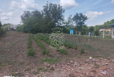 Spațiu comercial, în Central