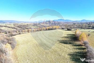 Teren de 15800 mp, în Tohănița - 2