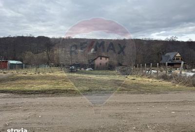 Teren de 999 mp, în Florești - 11