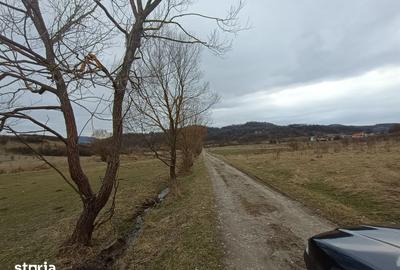 Teren de 2500 mp, în Central - 3