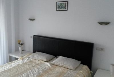Apartament cu 2 camere decomandat, mobilat în City Park Mall - 4