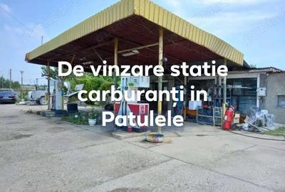 Spațiu comercial, de 3,800,100 mp, în Pătulele