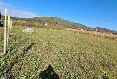 Teren de 736 mp, în Șieu - 7