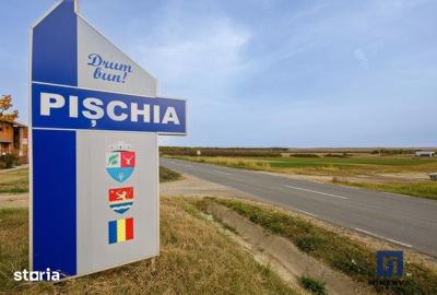 Teren de 19000 mp, în Pișchia - 4