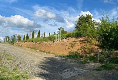 Teren agricol intravilan de 500 mp, în Bărdești - 5
