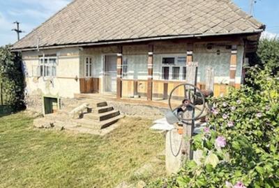 Casă individuală cu 2 camere cu Canalizare în Ocoliș - 1