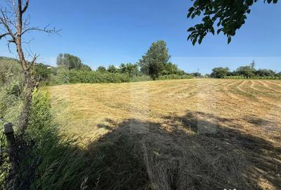 Casă cu 3 camere cu Teren 3095 Mp în Central - 6