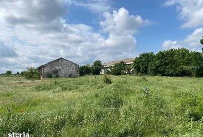 Teren de 16862 mp, în Hârșova - 3