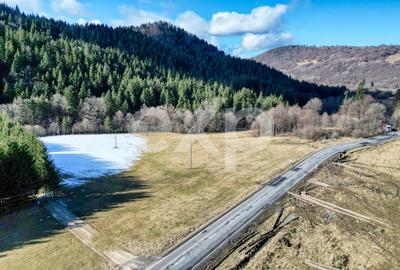 Teren Construcții extravilan de 19200 mp, în Brădet - 10