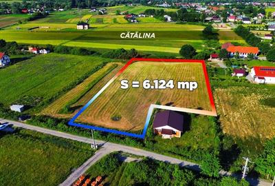 Teren Construcții intravilan de 6200 mp, în Coltău - 4