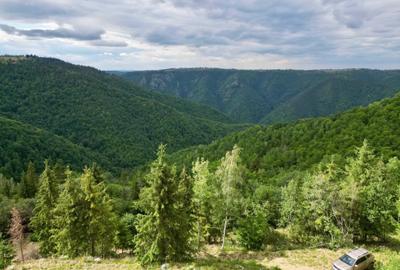 Teren de 1824 mp, în Mărișel