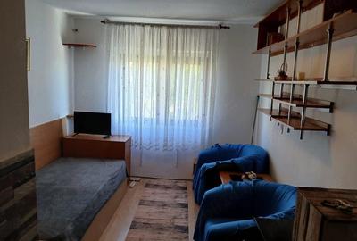 Garsonieră semidecomandată în Buziașului - 9