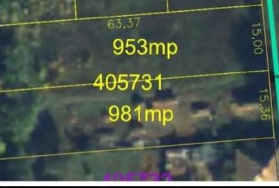 Teren de 981 mp, în Tormac