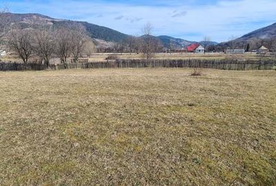 Teren de 6710 mp, în Stejaru (Pângărați) - 6