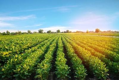 Teren agricol extravilan de 1700 mp, în Ampoița - 1