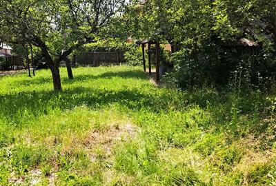 Casă cu Teren 3780 Mp în Hulubești - 11