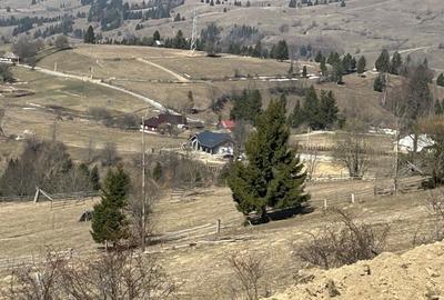 Teren de 2000 mp, în Ivăneasa - 3