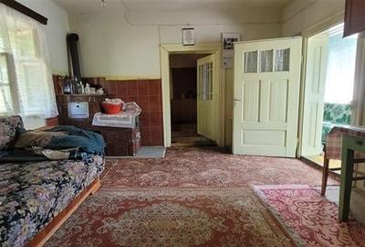 Casă individuală cu 6 camere cu Teren 19300 Mp în Apoldu de Jos - 7