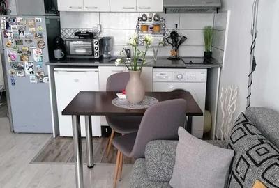 Apartament cu 20 camere semidecomandat, mobilat în Podu Roș - 4