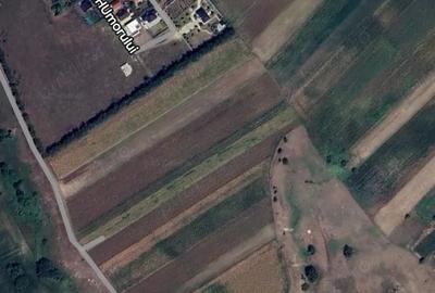 Teren de 3600 mp, în Frumoasa