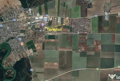 Teren în Islaz - 4