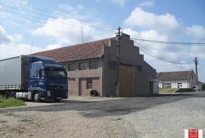 Spațiu industrial, de 7,000 mp, în Sânnicolau Mic - 12
