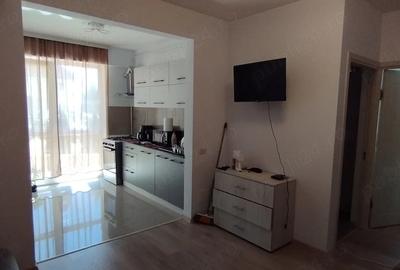 Apartament cu 2 camere semidecomandat în Valea Lupului - 6