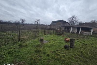 Casă cu 2 camere cu Teren 2685 Mp în Curtuișeni - 1