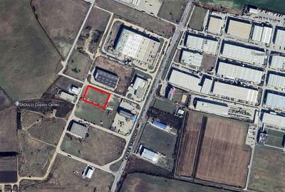 Teren Construcții intravilan de 10800 mp, în Șagului
