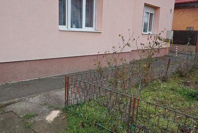 Casă cu 3 camere în Elisabetin