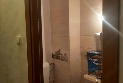 Apartament cu 3 camere decomandat în Popa Șapcă - 8