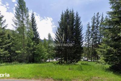 Teren de 1404 mp, în Noua - 4