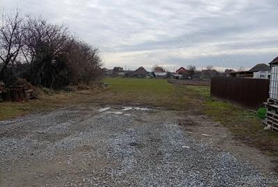Teren de 5900 mp, în Mihai Viteazu