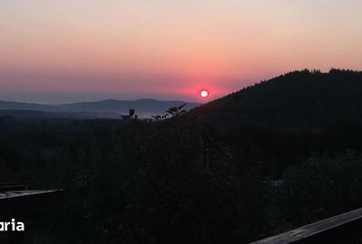 Casă cu 3 camere cu Teren 1300 Mp în Sadu - 2