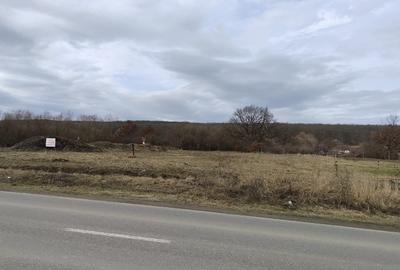 Teren Construcții intravilan de 750 mp, în Șelimbăr - 3