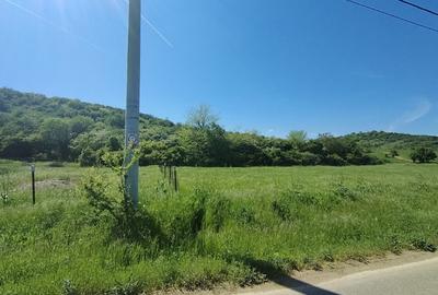 Teren de 407 mp, în Podari