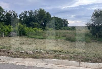 Teren Construcții intravilan de 1900 mp, în Stăuceni
