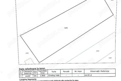 Casă cu 3 camere cu Teren 2700 Mp în Șerbănești - 1