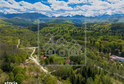 Casă cu 5 camere cu Teren 3400 Mp în Porumbacu de Jos - 11