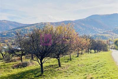 Teren intravilan de 1000 mp, în Sibiel - 3