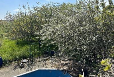 Casă individuală cu 3 camere cu Piscina în Crevedia - 40