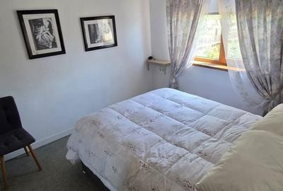 Casă cu 3 camere cu Teren 4400 Mp în Valea Vinului - 16