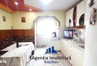 Apartament cu 2 camere decomandat în Burdea