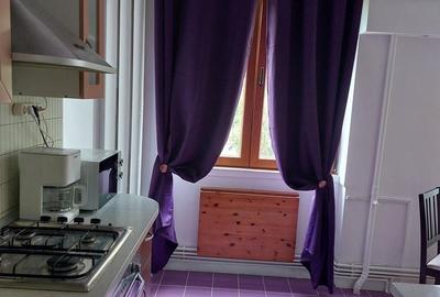 Apartament cu 2 camere în Vatra Luminoasă - 4