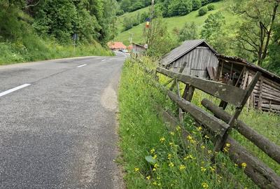 Teren de 4000 mp, în Muntele Băișorii