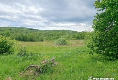 Teren agricol extravilan de 5000 mp, în Micești - 5