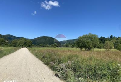 Teren de 4306 mp, în Vama Buzăului
