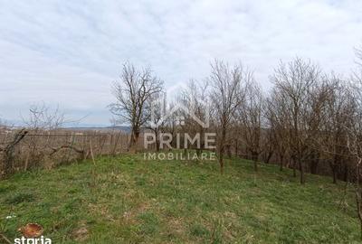 Teren de 1295 mp, în Berghin